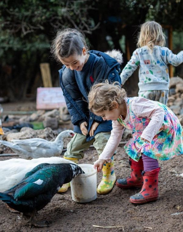 תמונה של החווה ביער אודם: הרבה מעבר לאטרקציה - למטייל בישראל (טיולי)